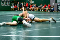 _Z928941