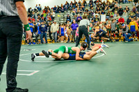 _Z916806