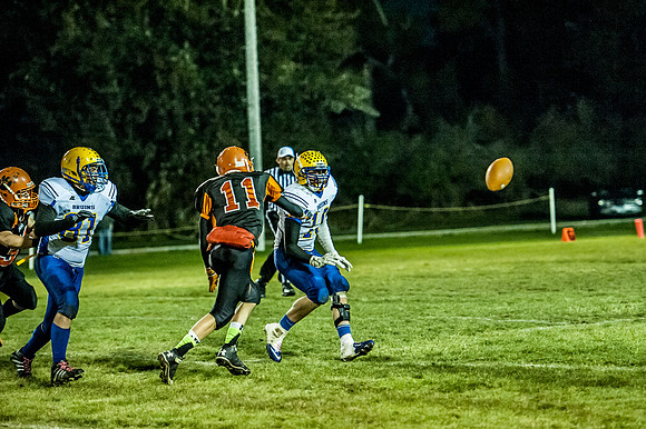 BUD_3520