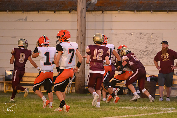 _Z921931