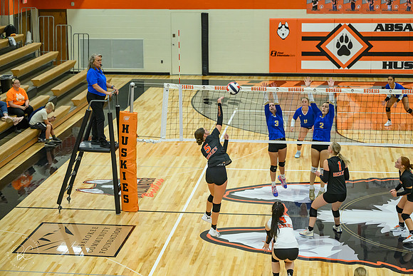 _Z923483