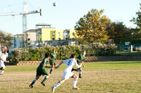 BUD_6331