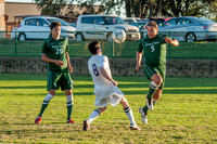BUD_6336