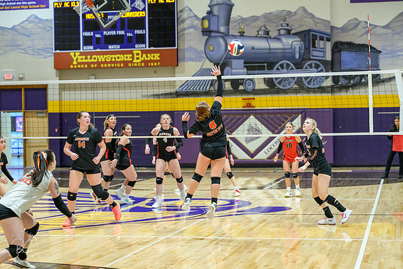 _Z920113