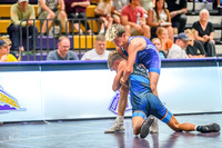 _Z911614