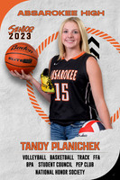 Tandy Planichek-2