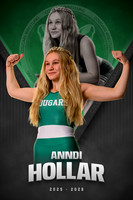 Anndi Hollar