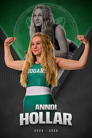 Anndi Hollar