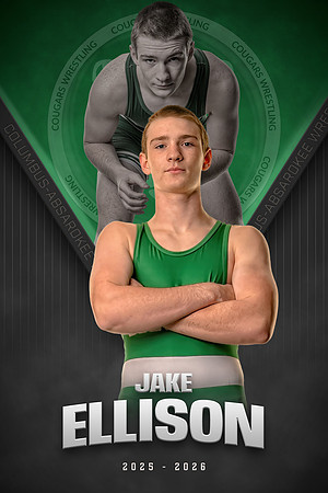 Jake Ellison