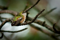 2010_06_05-0155-Edit