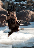 2013_01_06-0015-pe3 Fall -5x7-s