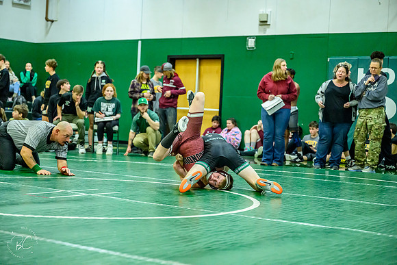 _Z922081