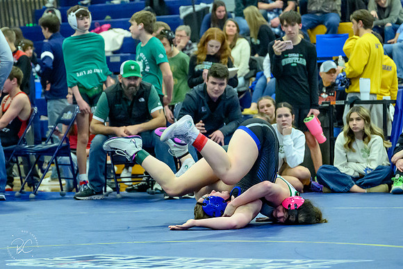 _Z924577