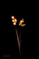2021_06_26-0660