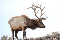 20160406-0033