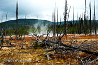 2011_10_10-0011-pt