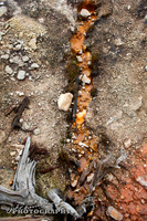 2011_10_10-0041