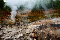 2011_10_10-0037-hde