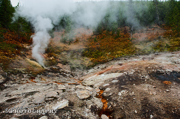2011_10_10-0037-hde