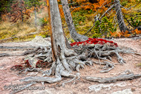 2011_10_10-0044-hde