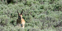 20140609_0054