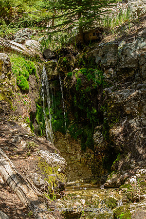 20140609_0108