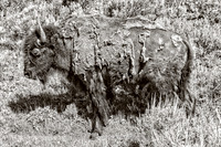 20140609_0049