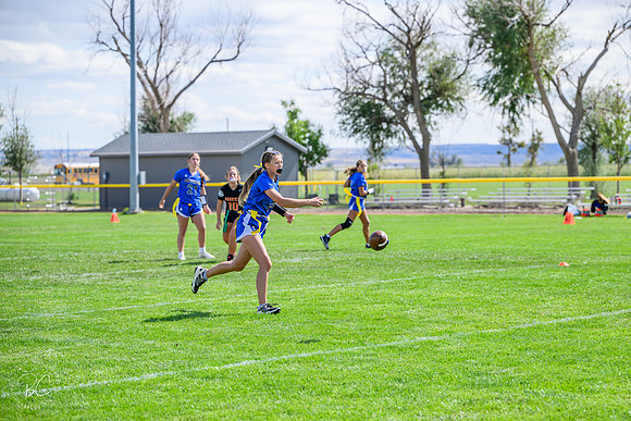 _Z921733