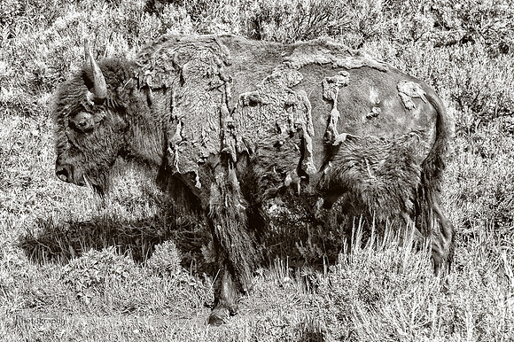 20140609_0049