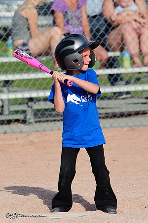 2012_06_12-0074-1