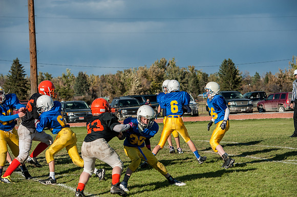 BUD_3146