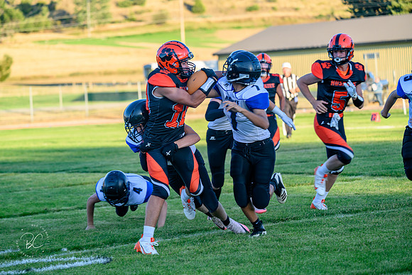 _Z928295