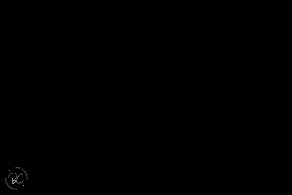 _Z925693