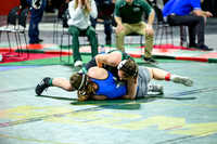 _Z926214