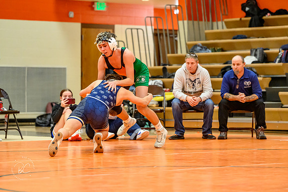 _Z921266