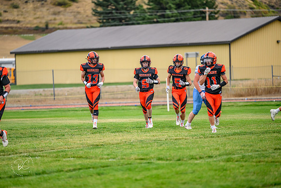 _Z915218