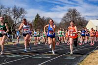 _Z924993