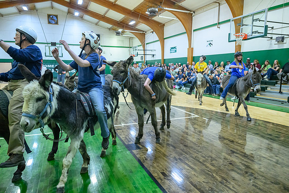 _Z922830