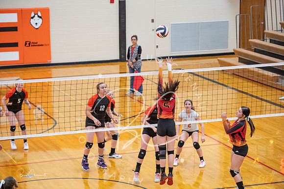 _ND55493