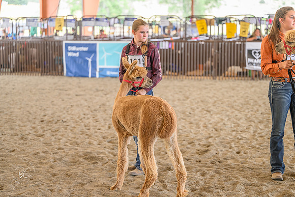 _Z912485
