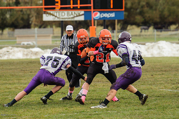 BUD_4445