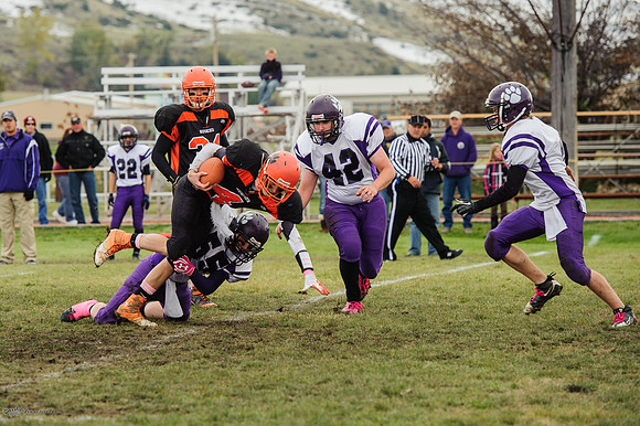 BUD_4436