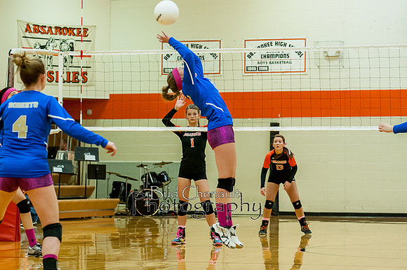 BUD_5536