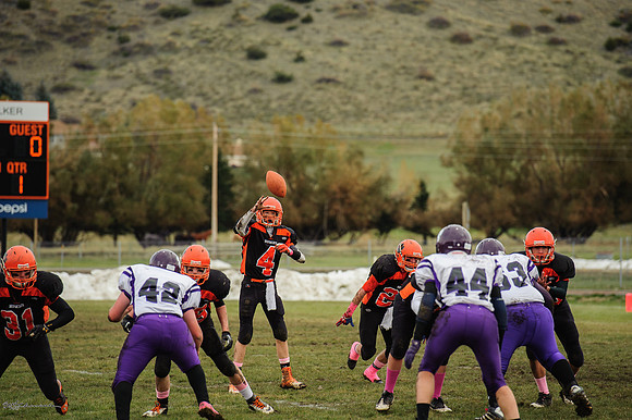 BUD_4448